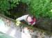 K800_DSCN1656 K800_DSCN1656